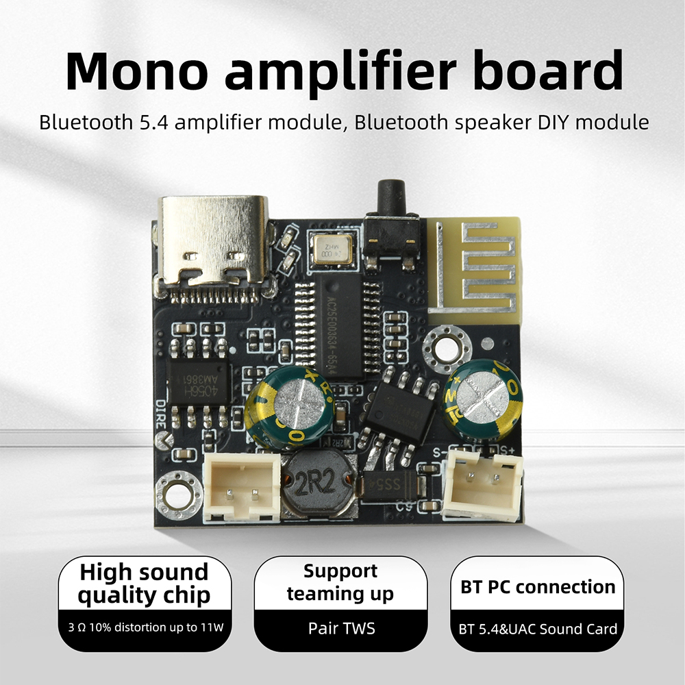 Audio Music Free Mp3 - BPM13 Plus 6.2W Mono Class D