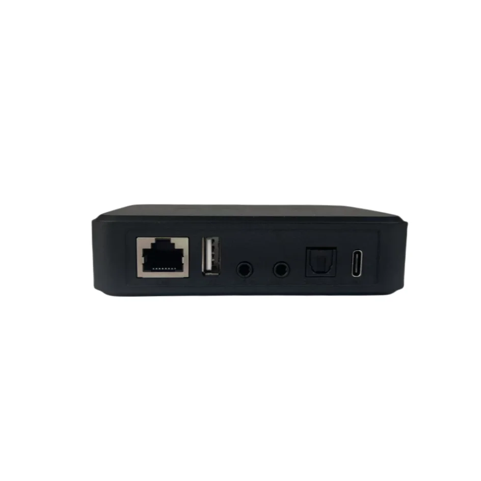 Arylic LP10 Wireless Music Str – Audio Music Google recenzja i cena